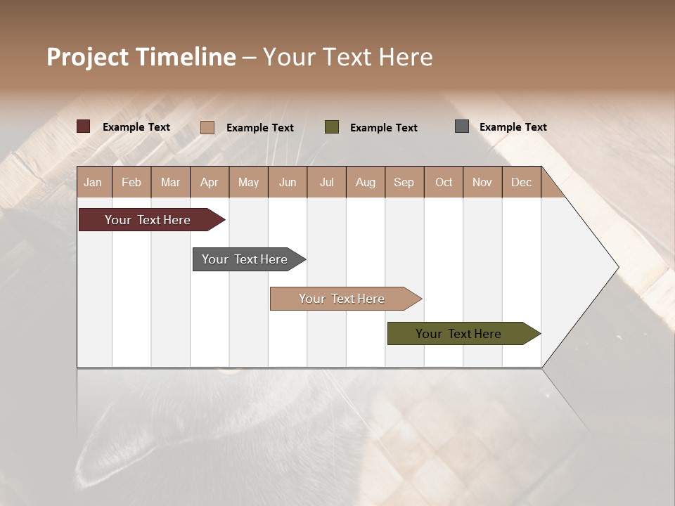 Catnip Ears On The Top Cat With Big Eyes PowerPoint Template