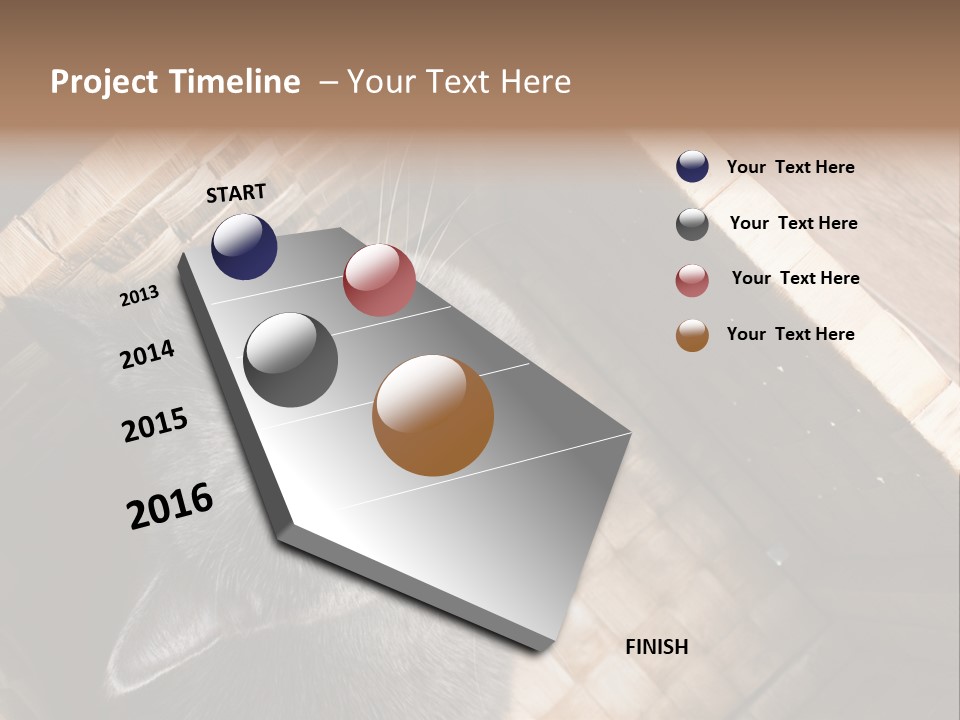 Catnip Ears On The Top Cat With Big Eyes PowerPoint Template