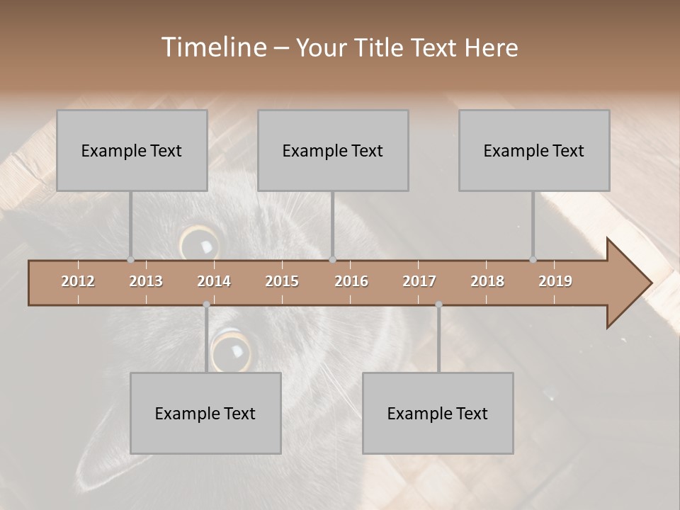 Catnip Ears On The Top Cat With Big Eyes PowerPoint Template