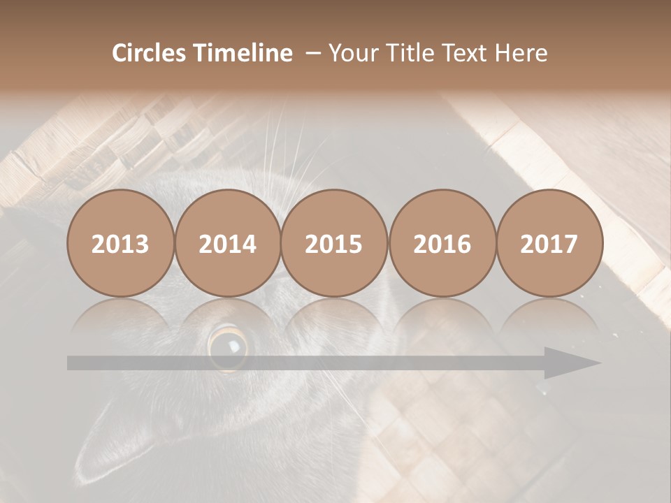 Catnip Ears On The Top Cat With Big Eyes PowerPoint Template