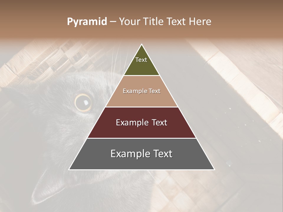 Catnip Ears On The Top Cat With Big Eyes PowerPoint Template