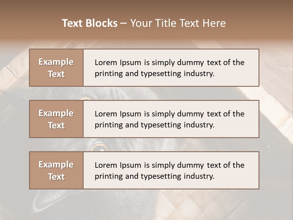 Catnip Ears On The Top Cat With Big Eyes PowerPoint Template