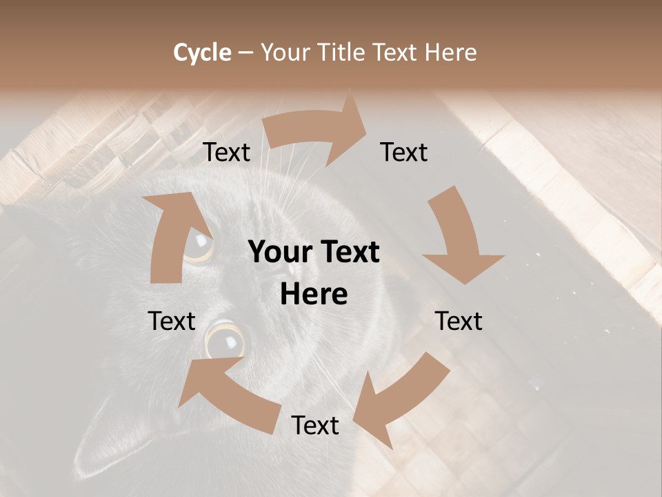 Catnip Ears On The Top Cat With Big Eyes PowerPoint Template