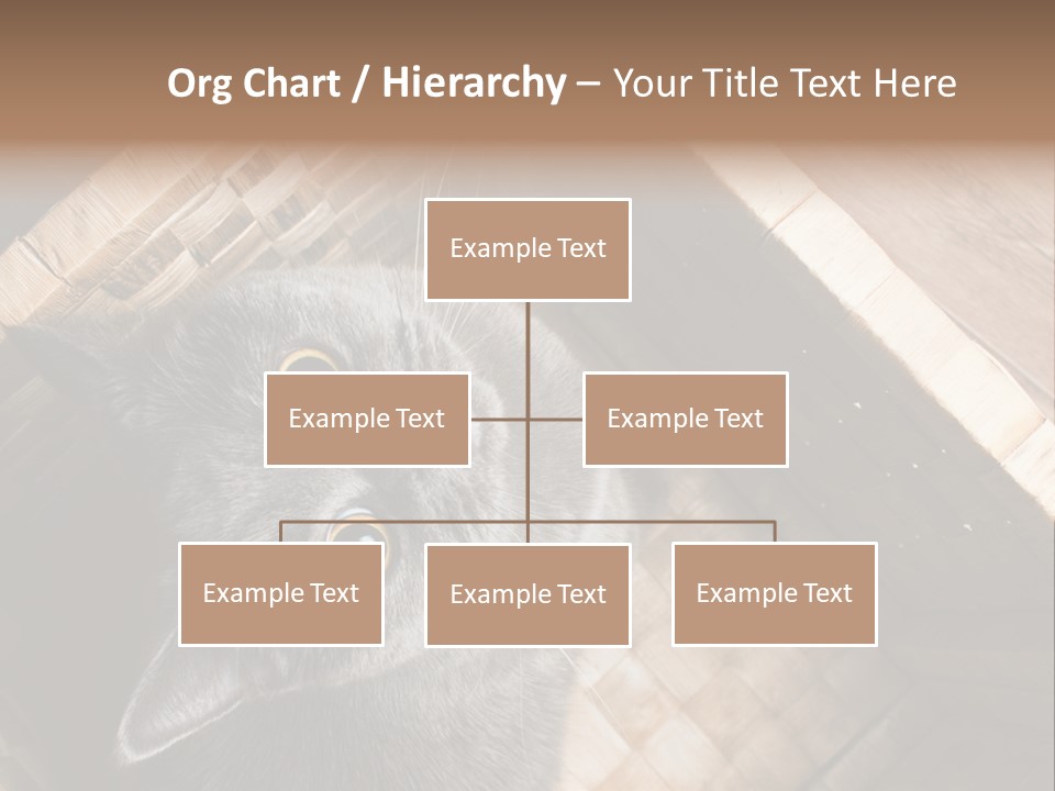 Catnip Ears On The Top Cat With Big Eyes PowerPoint Template