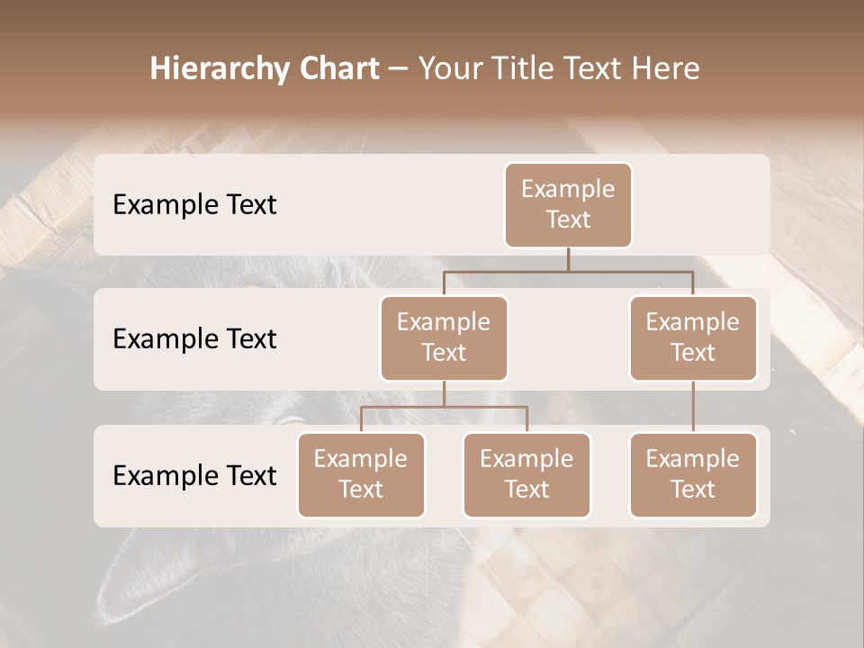 Catnip Ears On The Top Cat With Big Eyes PowerPoint Template