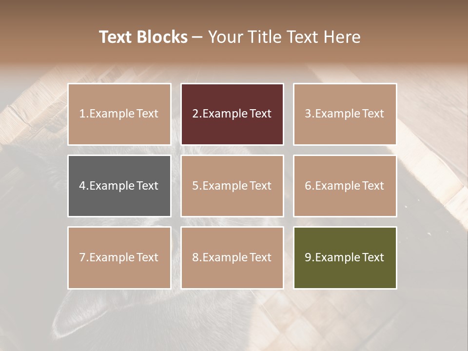 Catnip Ears On The Top Cat With Big Eyes PowerPoint Template