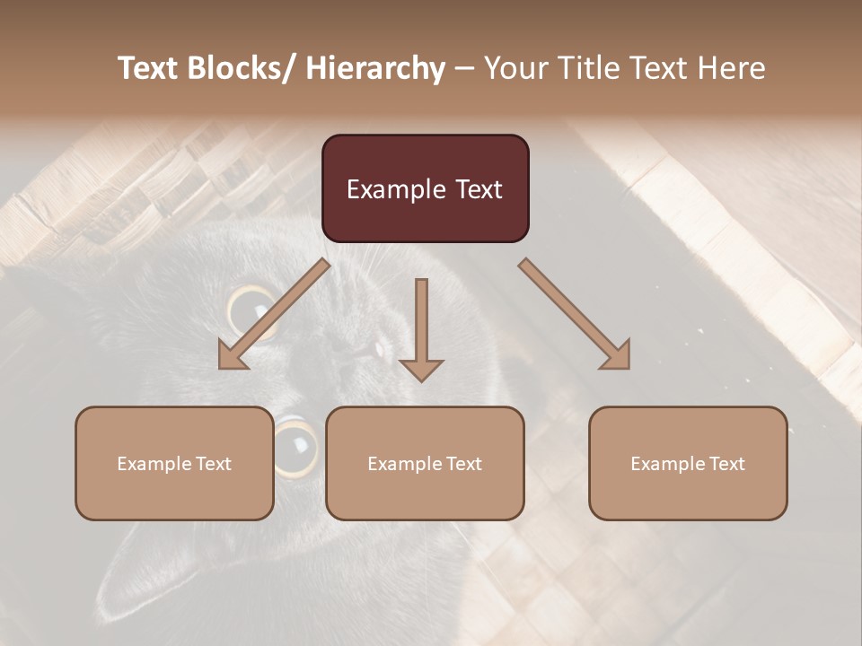 Catnip Ears On The Top Cat With Big Eyes PowerPoint Template