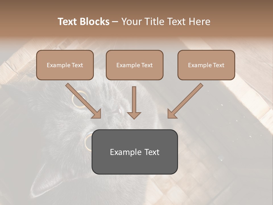 Catnip Ears On The Top Cat With Big Eyes PowerPoint Template