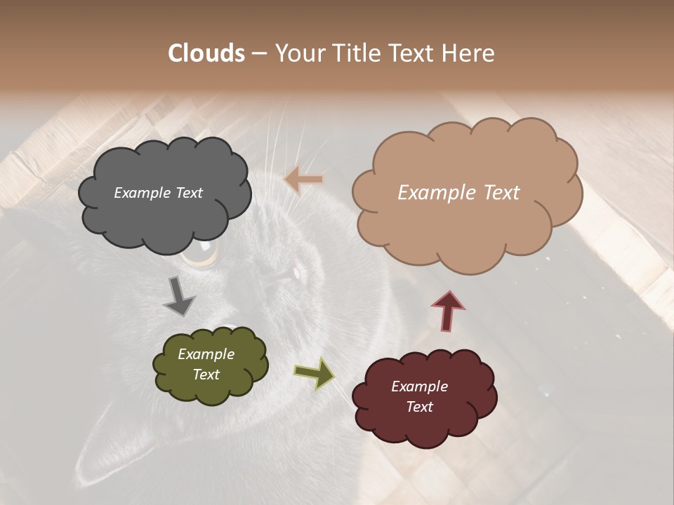 Catnip Ears On The Top Cat With Big Eyes PowerPoint Template