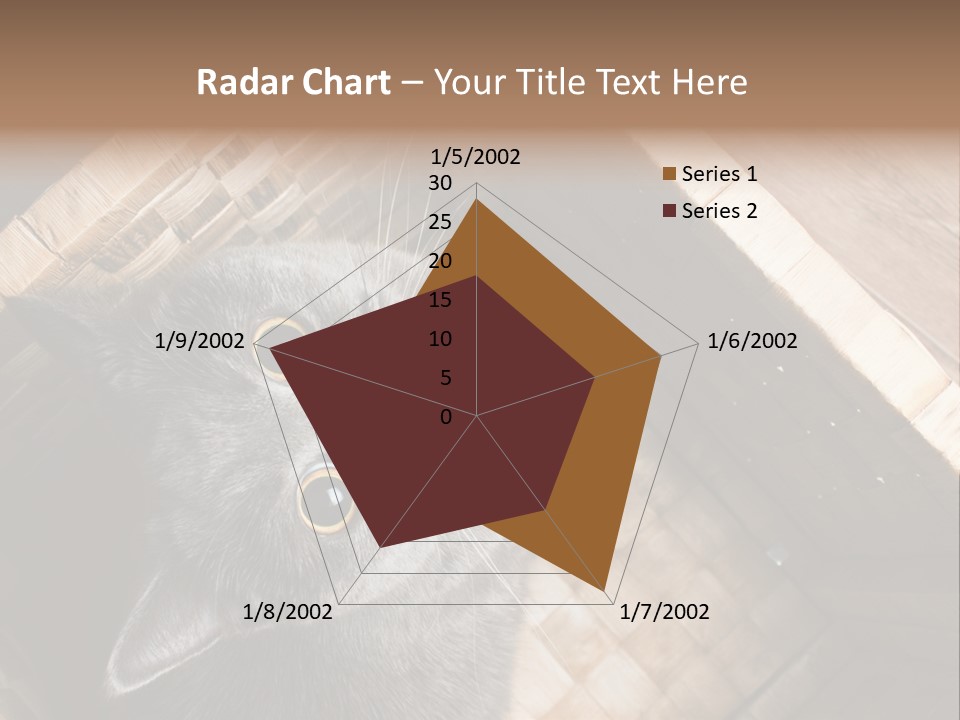 Catnip Ears On The Top Cat With Big Eyes PowerPoint Template