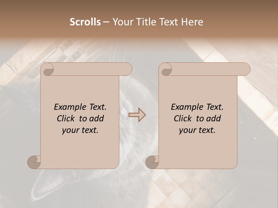 Catnip Ears On The Top Cat With Big Eyes PowerPoint Template