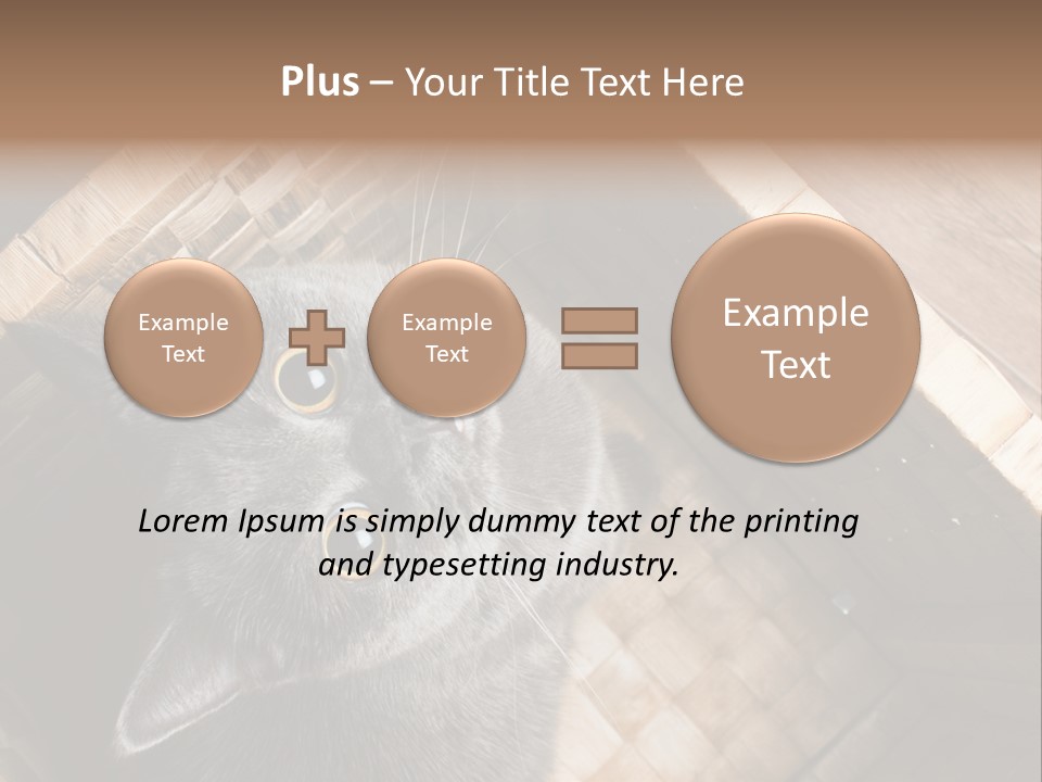 Catnip Ears On The Top Cat With Big Eyes PowerPoint Template