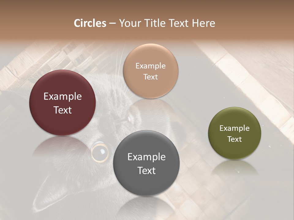 Catnip Ears On The Top Cat With Big Eyes PowerPoint Template