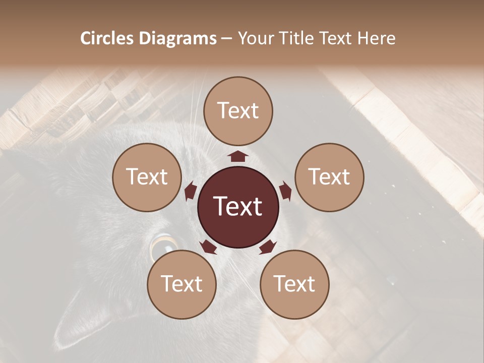 Catnip Ears On The Top Cat With Big Eyes PowerPoint Template