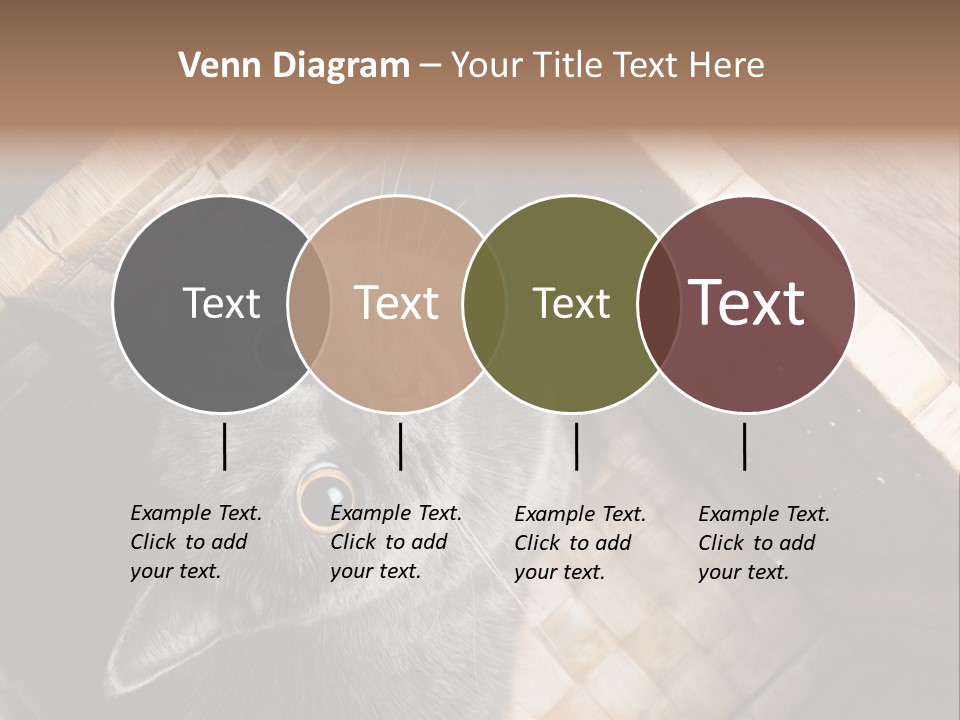 Catnip Ears On The Top Cat With Big Eyes PowerPoint Template