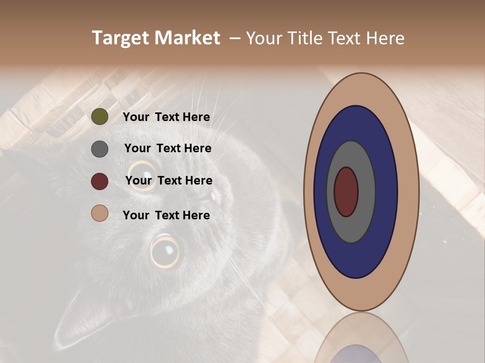 Catnip Ears On The Top Cat With Big Eyes PowerPoint Template