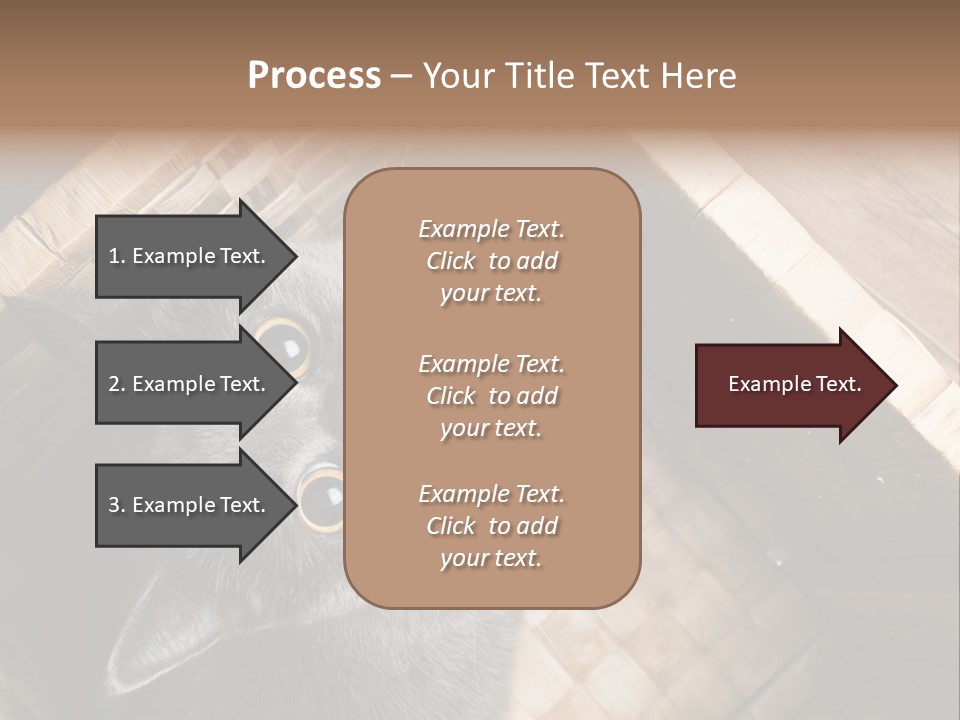 Catnip Ears On The Top Cat With Big Eyes PowerPoint Template
