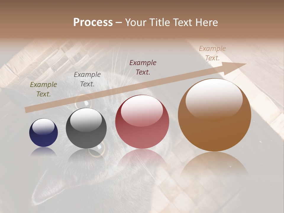 Catnip Ears On The Top Cat With Big Eyes PowerPoint Template