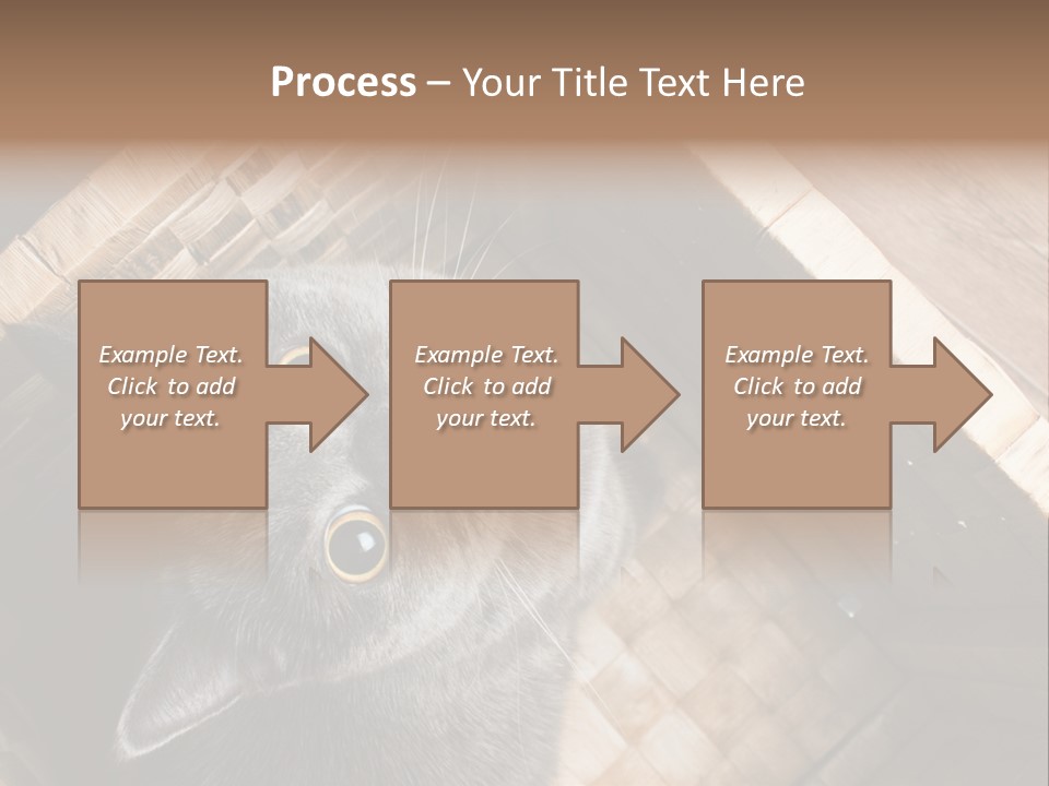 Catnip Ears On The Top Cat With Big Eyes PowerPoint Template