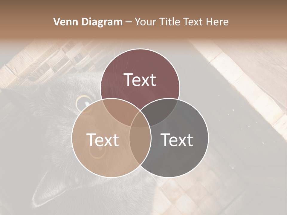 Catnip Ears On The Top Cat With Big Eyes PowerPoint Template