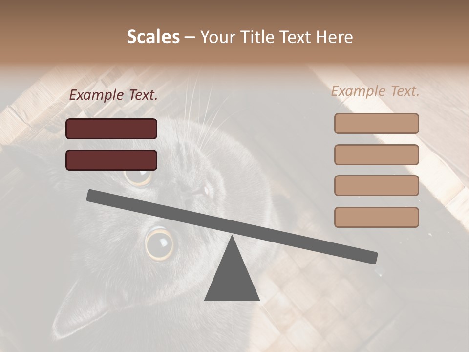 Catnip Ears On The Top Cat With Big Eyes PowerPoint Template