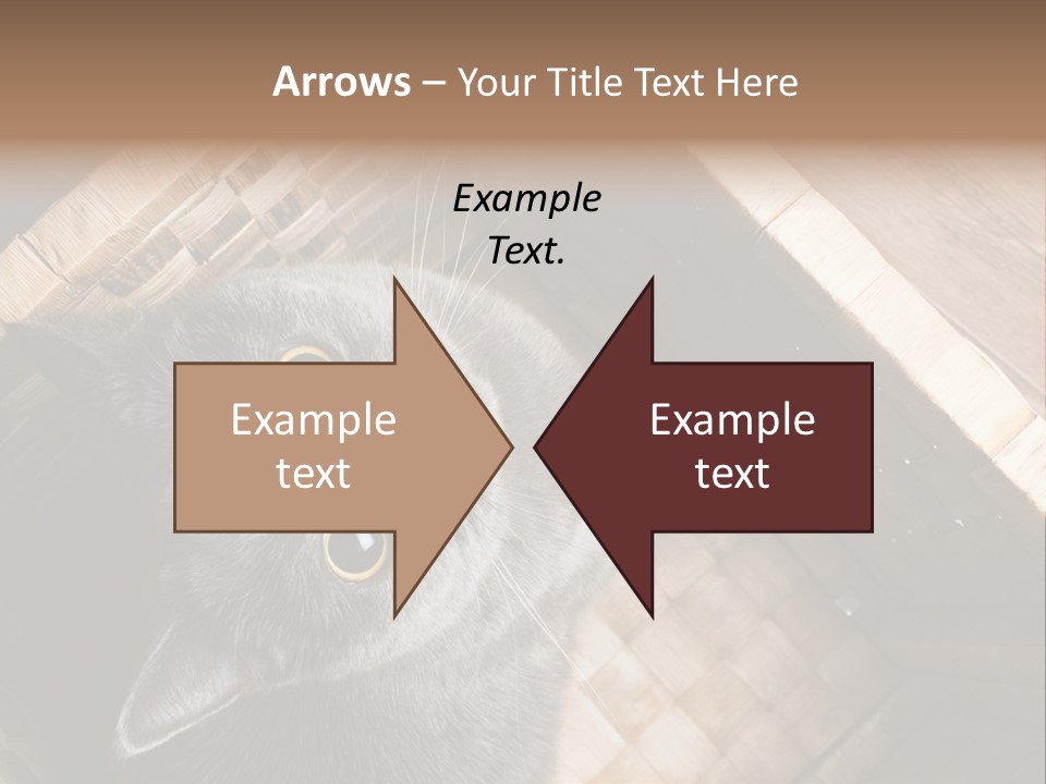 Catnip Ears On The Top Cat With Big Eyes PowerPoint Template