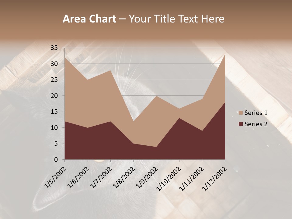 Catnip Ears On The Top Cat With Big Eyes PowerPoint Template