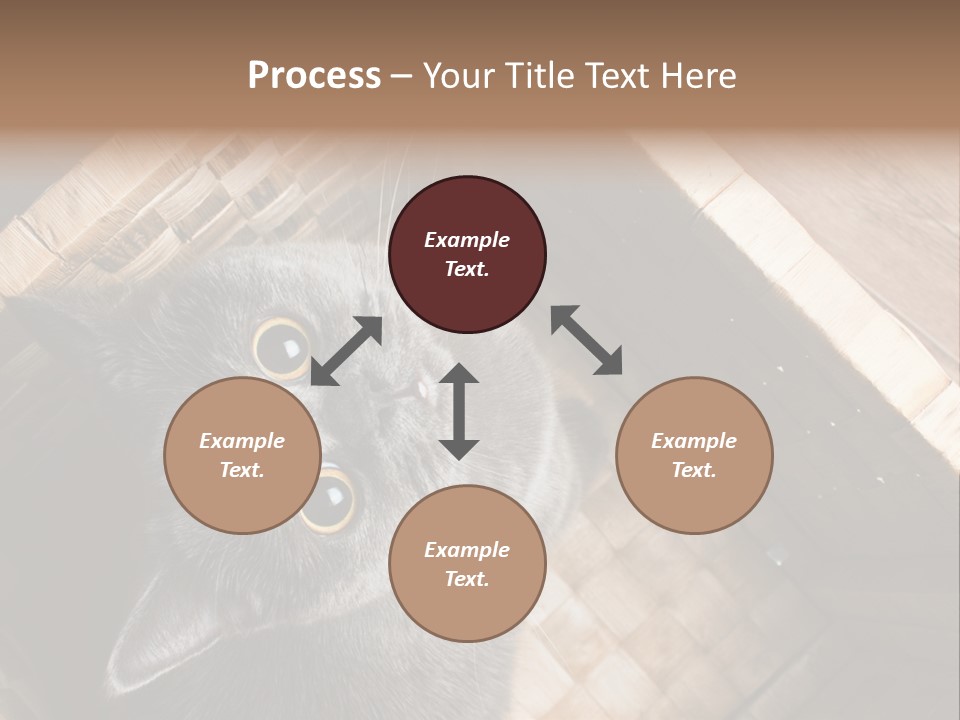 Catnip Ears On The Top Cat With Big Eyes PowerPoint Template