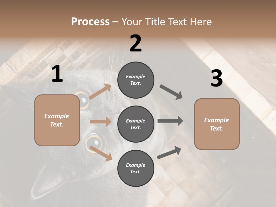 Catnip Ears On The Top Cat With Big Eyes PowerPoint Template