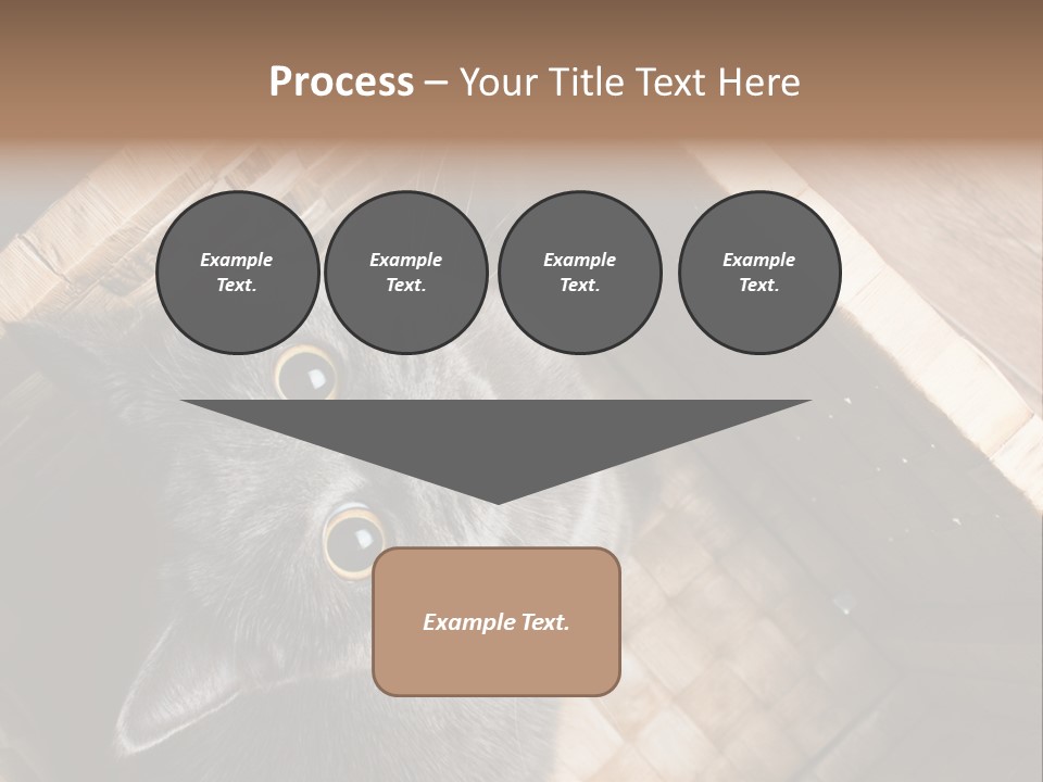 Catnip Ears On The Top Cat With Big Eyes PowerPoint Template