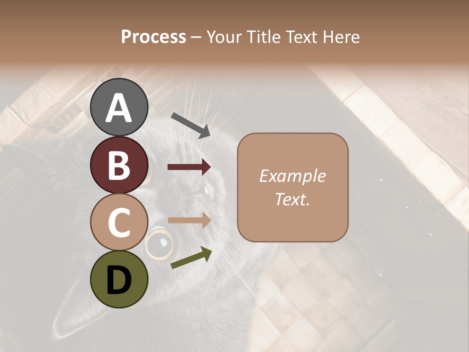 Catnip Ears On The Top Cat With Big Eyes PowerPoint Template