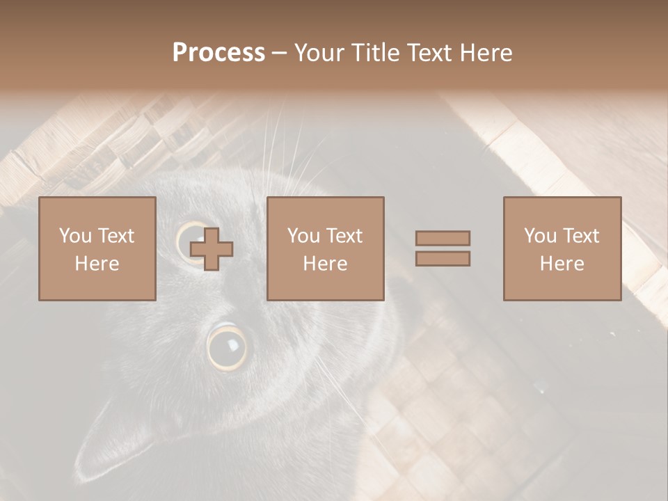 Catnip Ears On The Top Cat With Big Eyes PowerPoint Template
