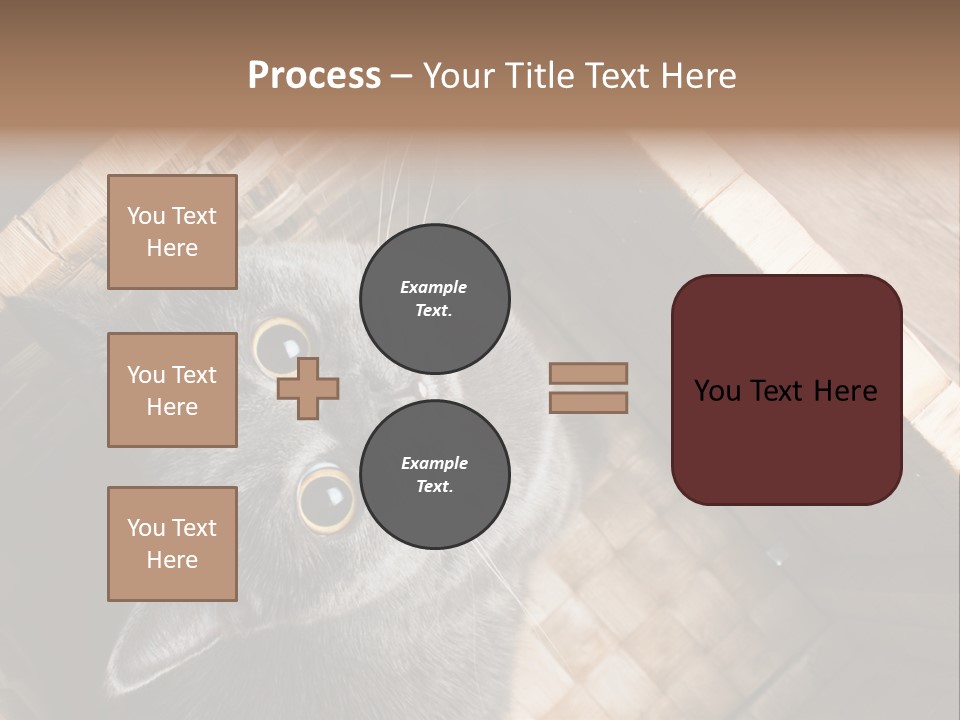 Catnip Ears On The Top Cat With Big Eyes PowerPoint Template