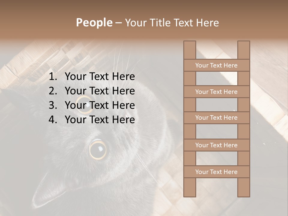 Catnip Ears On The Top Cat With Big Eyes PowerPoint Template