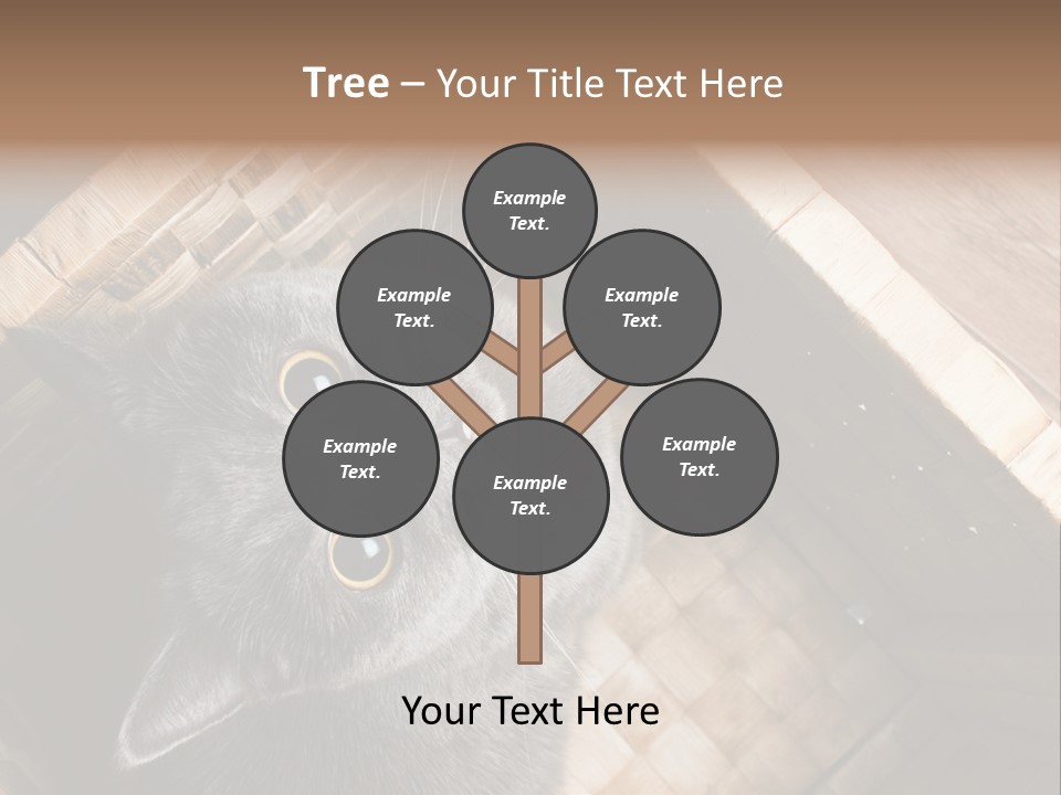 Catnip Ears On The Top Cat With Big Eyes PowerPoint Template