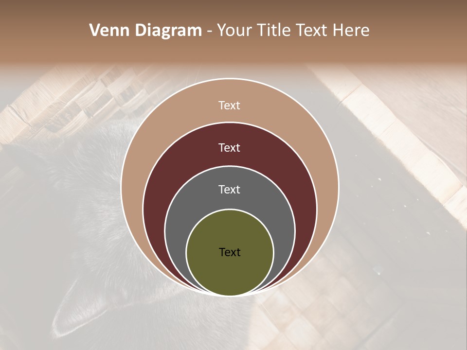 Catnip Ears On The Top Cat With Big Eyes PowerPoint Template