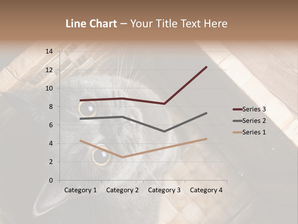 Catnip Ears On The Top Cat With Big Eyes PowerPoint Template