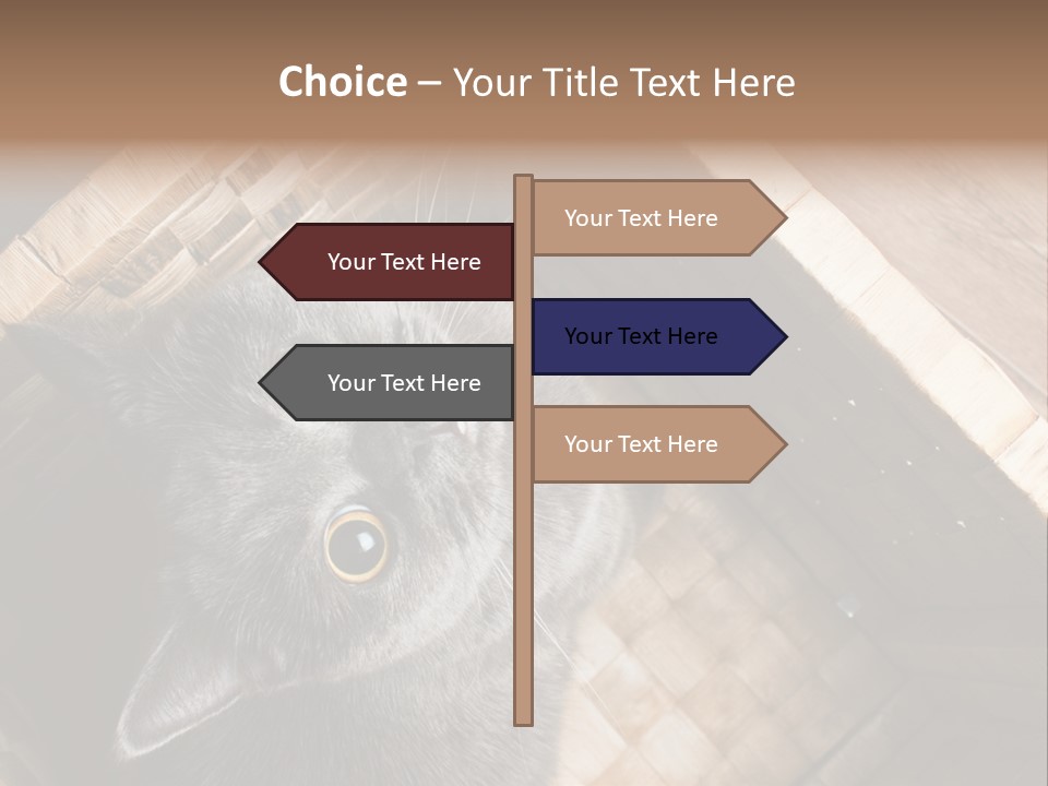 Catnip Ears On The Top Cat With Big Eyes PowerPoint Template