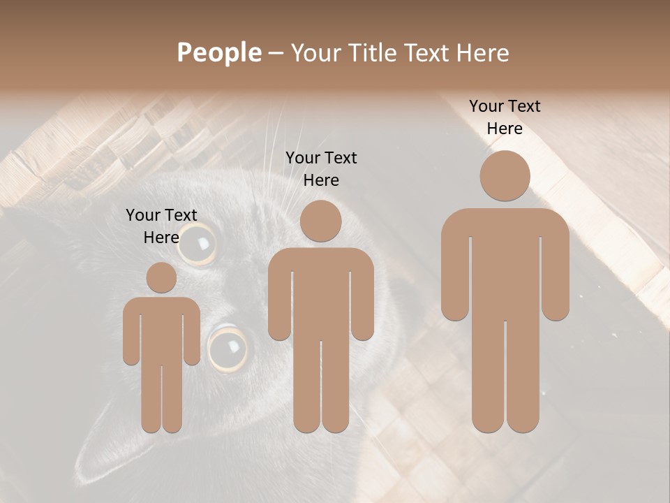 Catnip Ears On The Top Cat With Big Eyes PowerPoint Template