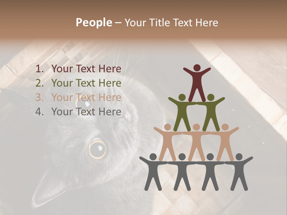 Catnip Ears On The Top Cat With Big Eyes PowerPoint Template