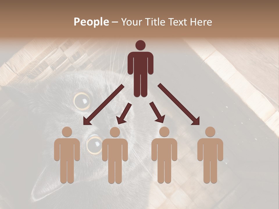 Catnip Ears On The Top Cat With Big Eyes PowerPoint Template