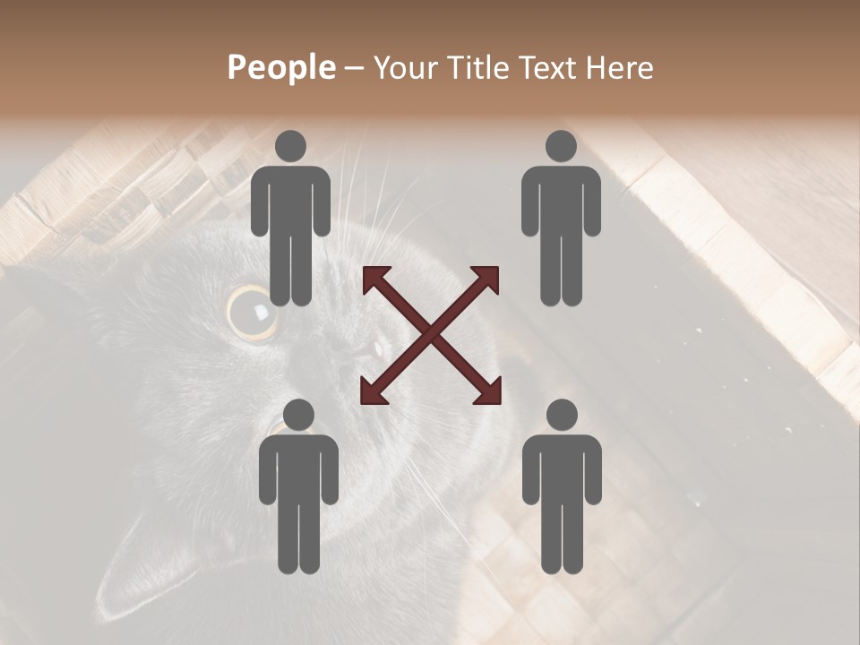 Catnip Ears On The Top Cat With Big Eyes PowerPoint Template