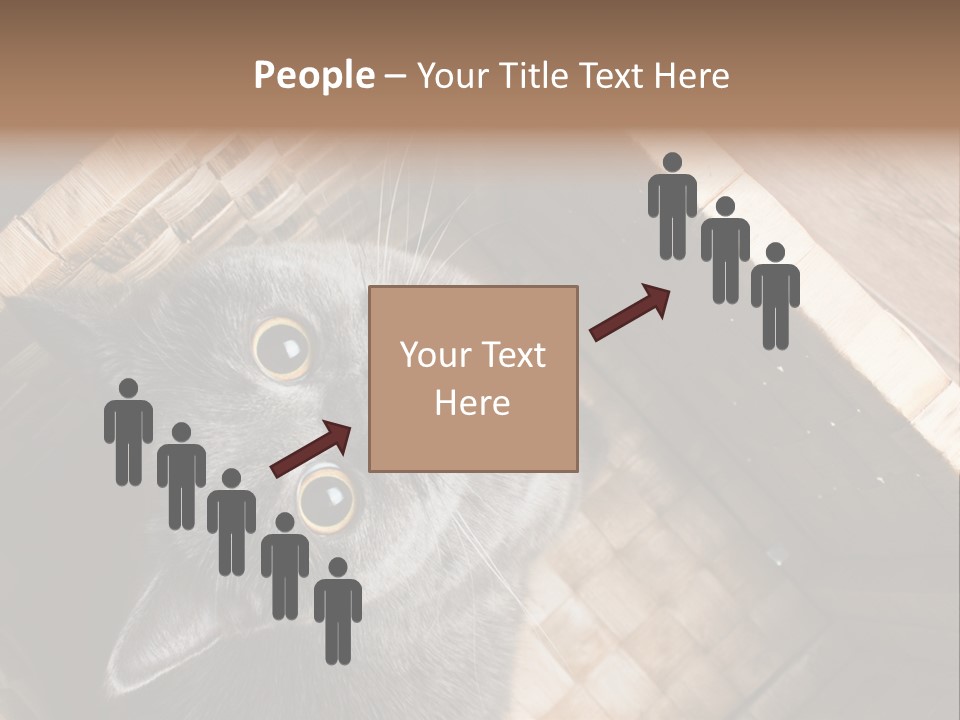 Catnip Ears On The Top Cat With Big Eyes PowerPoint Template