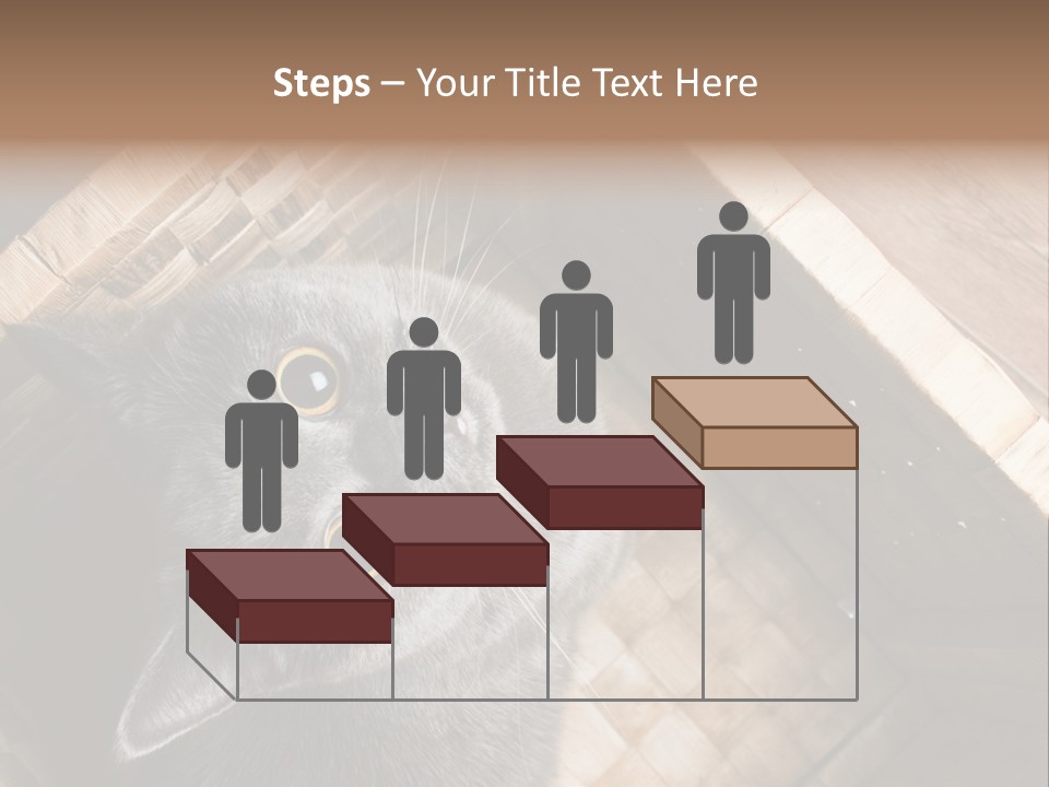 Catnip Ears On The Top Cat With Big Eyes PowerPoint Template