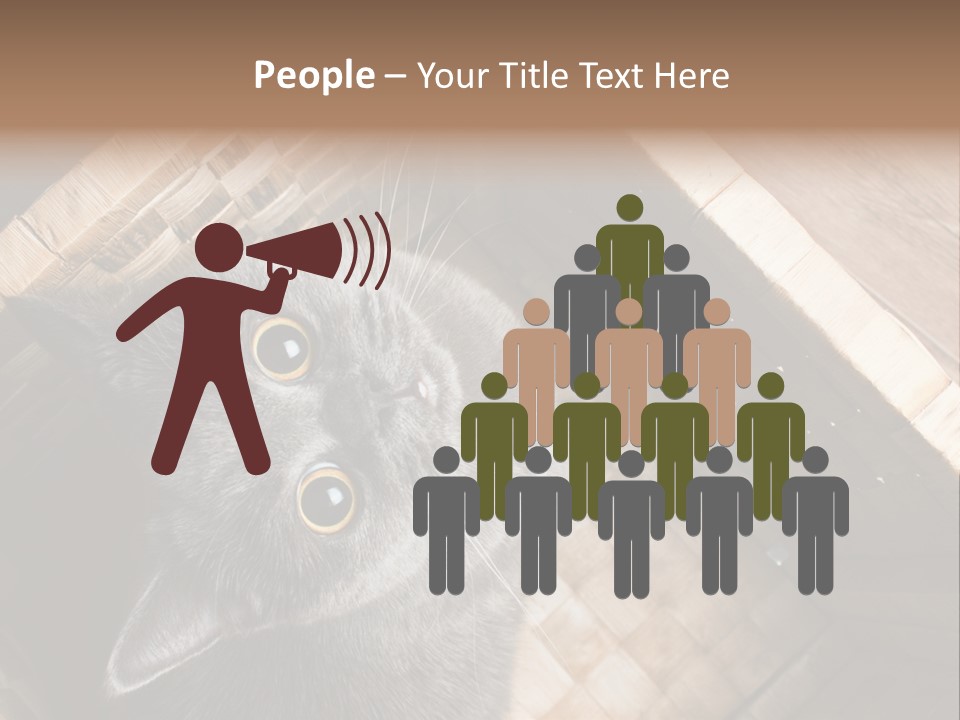 Catnip Ears On The Top Cat With Big Eyes PowerPoint Template