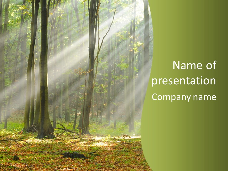 Foliage Landscape Mist PowerPoint Template