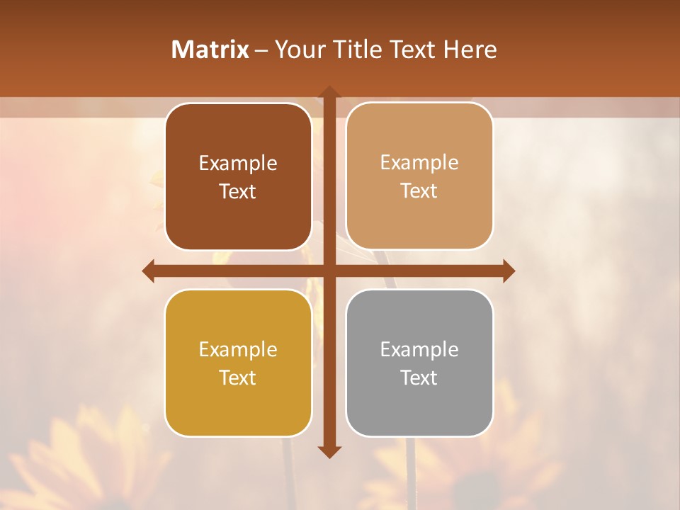 Season Beauty Sunset PowerPoint Template