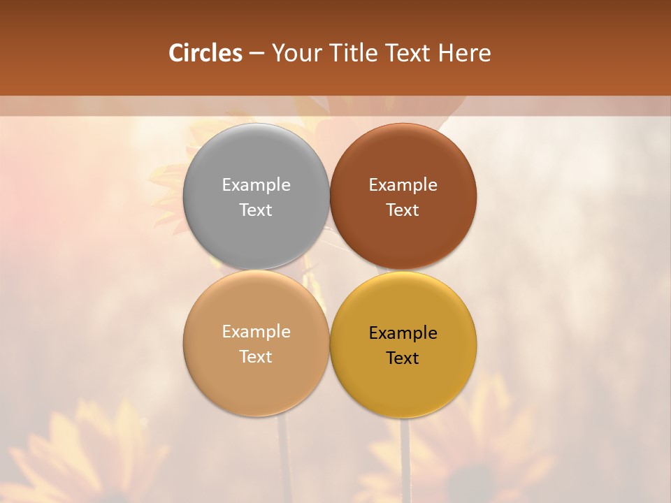 Season Beauty Sunset PowerPoint Template