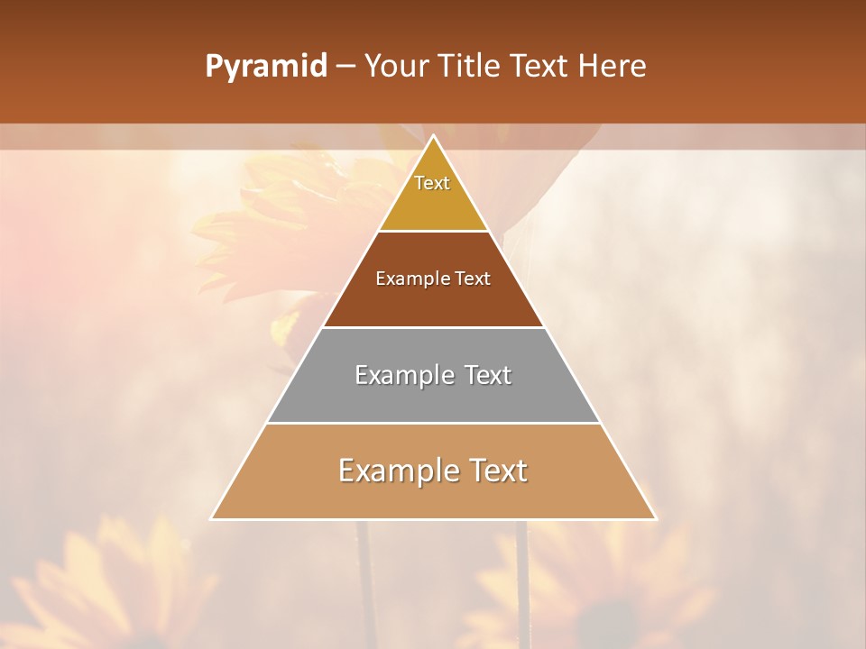 Season Beauty Sunset PowerPoint Template