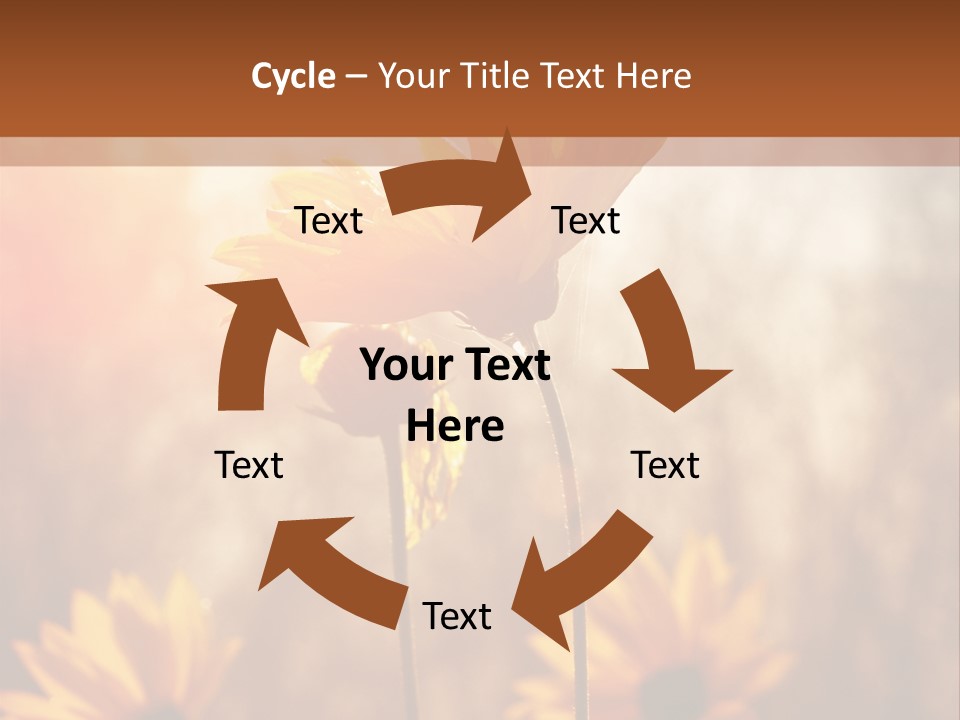 Season Beauty Sunset PowerPoint Template